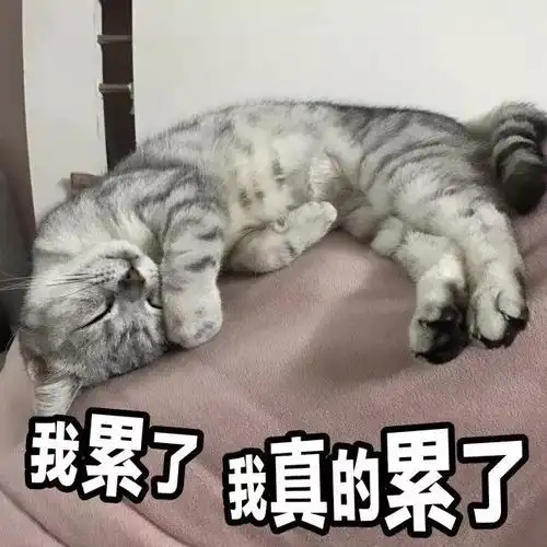 我累了疯了病了搞笑斗图猥琐爆炸头蘑菇头gif动图_动态图_表情包下载