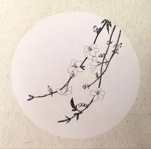 黑白手绘二十四节气之立春迎春花