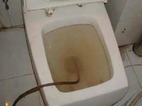 新房装修气吐血装完含泪总结11条遗憾10万血汗钱就这么没了