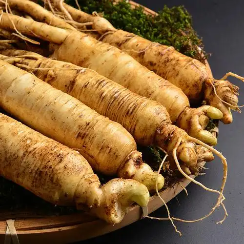 【29元4根大参】人参 野山参 长白山 东北人参人身新鲜山参 人叁