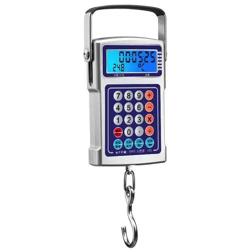 计价手提电子秤50kg精准电子称家用小型迷你称重器电孑秤弹簧磅秤50kg