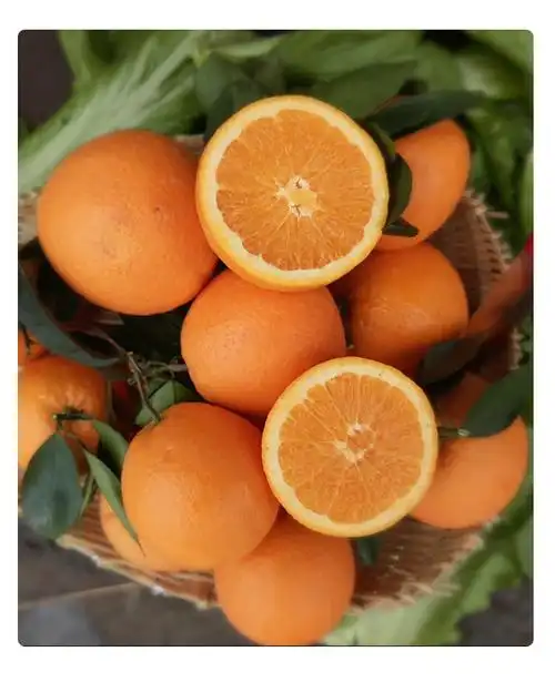 奉节纽荷尔脐橙新鲜橙子2022年时令水果现摘重庆巫山纽荷尔甜橙手剥橙