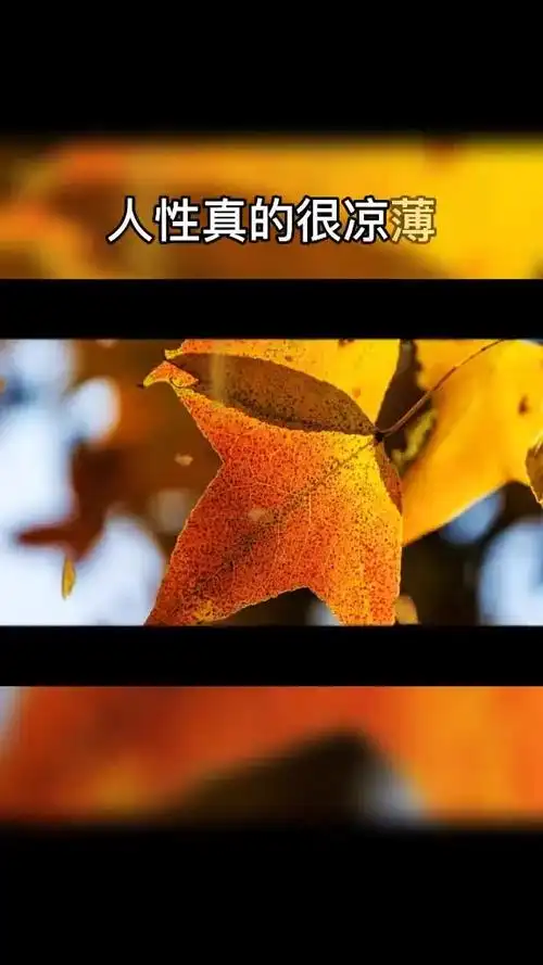 人性真的很凉薄,用你的时候有多热情,不用你的时候就有多冷淡,最凉