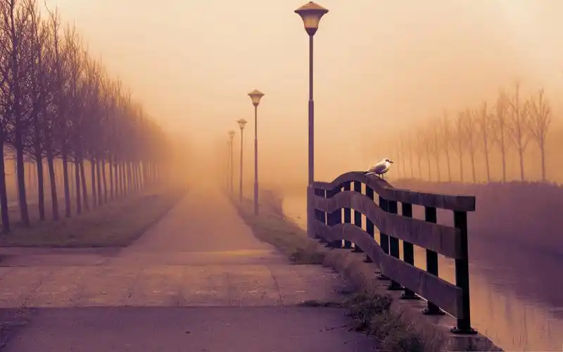 路的尽头唯美自然风光绿色护眼桌面壁纸第三辑