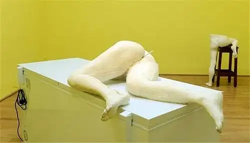 艺术双年展览(international art exhibition)上,萨拉·卢卡斯的作品