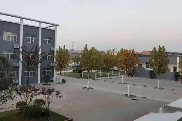 一张珍贵的照片1973届淮阴县南陈集中学高二3班毕业照