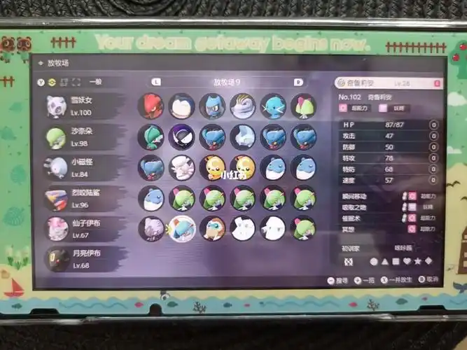 前天晚上刷了几波海豹球没出闪就去睡了今天开机打算继续刷刷结果进了