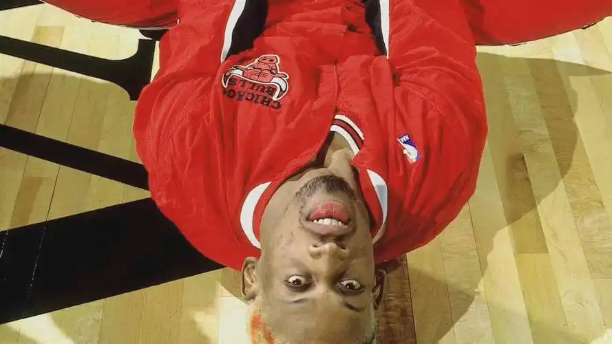 大虫罗德曼 真·每一秒都是壁纸_哔哩哔哩 (゜-゜)つロ 干杯~-bili