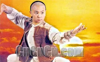 中国 /30集 影视剧照         找 在线播放 少年黄飞鸿 简介