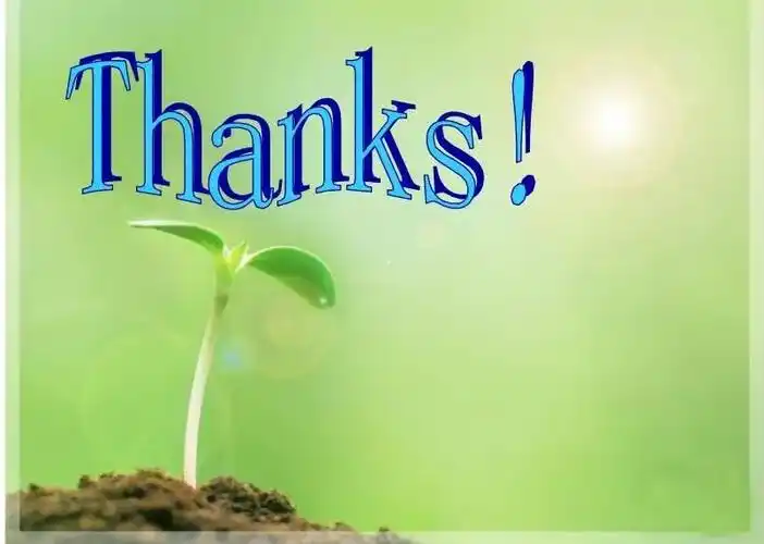 收到电子卷宗光盘的江律师打电话致谢,感谢检察机关为她省去200多公里