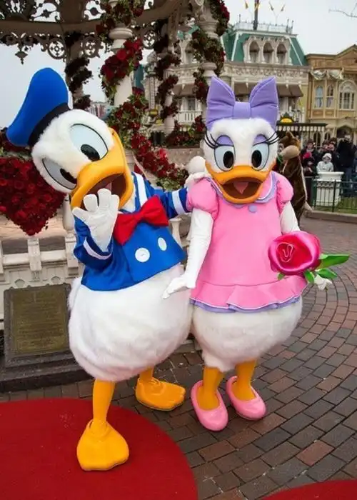 唐老鸭和戴西 - 堆糖,美图壁纸兴趣社区