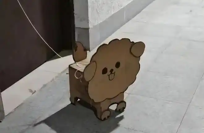 纸盒狗当宠物养的大学生一定很优秀|纸板|玩具|犬科|易拉罐|驯养动物