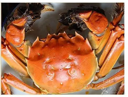 蟹图8_看图王