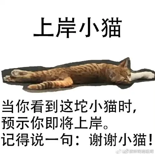 谢谢你,上岸普洱!谢谢你,上岸华子!谢谢你,上岸鸭腿!谢谢你,上岸月饼!