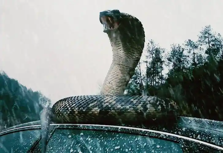 2020最新片变异狂蟒2无良老板遭到蛇王报复