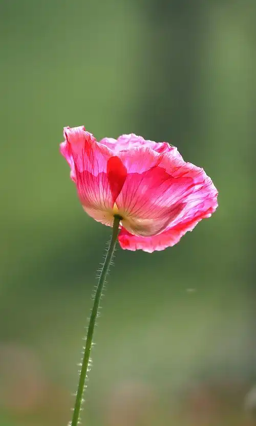 好好说话,是格局,亦是慈悲