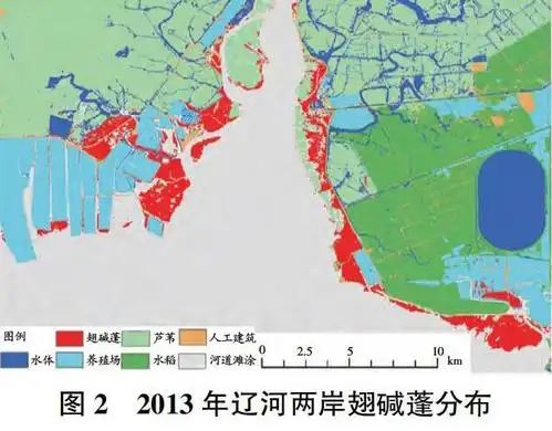 辽河入海口两岸翅碱蓬分布变化情况及退化影响因素分析