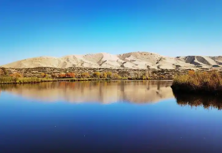 自驾游新疆:原来你是这样的白沙湖_沙漠_景区_鸣沙山