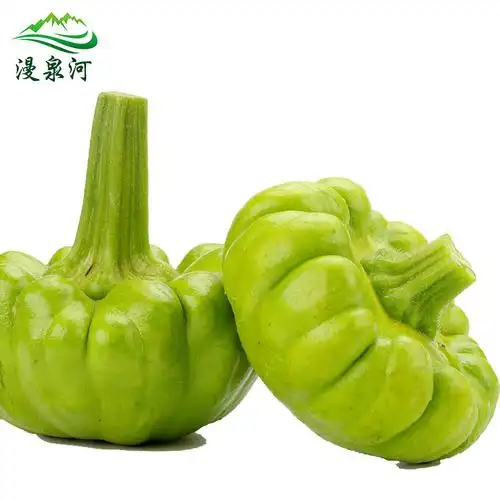 漫泉河 姜柄瓜 5斤 姜饼瓜 农家新鲜蔬菜 云南特产 南瓜小绿瓜-漫泉河