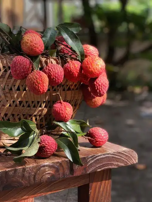 静物摄影荔枝熟了