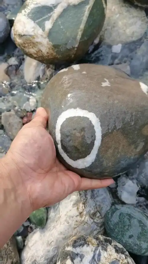 快来河边捡石头