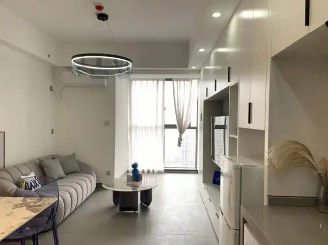 雨花区德思勤正规一室一厅出租全新装修