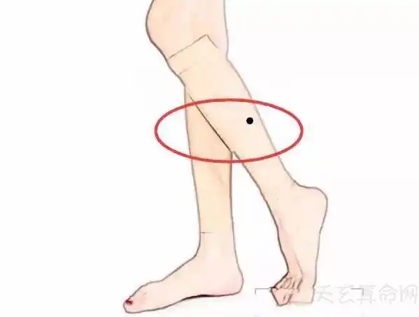 小腿有痣代表什么意思 左右小腿长痣寓意解读