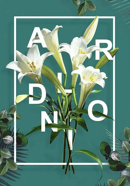 ps教程花朵穿插的文字海报