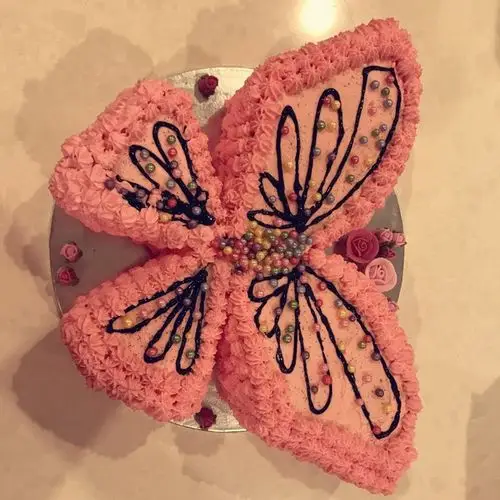 【立体卡通蝴蝶生日蛋糕图片】澳达auda-rikka_下厨房