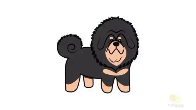 藏獒简笔画怎么画?简单易学,家长快为孩子收藏吧!