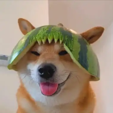 狗狗头像图片 蠢萌