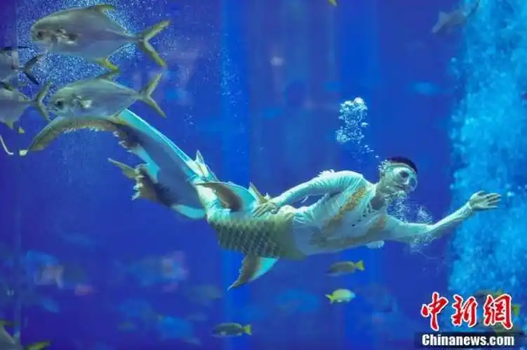 首届中国美人鱼表演赛三亚开赛