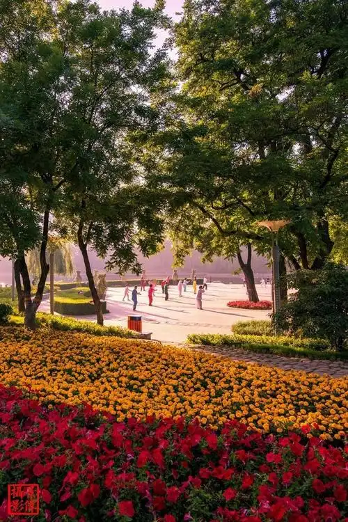 看人民公园最新实拍