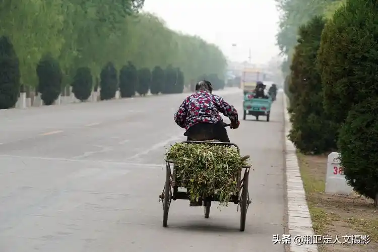 76岁大妈有3个儿子,现今还要下地干活,说起一件事她就激动