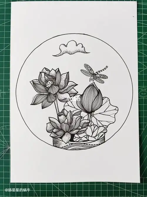 线描创作原创黑白线描荷花