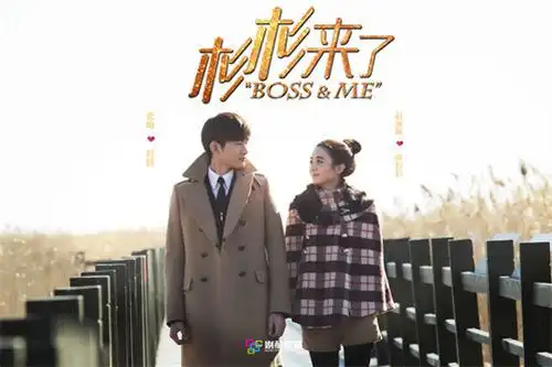 揭秘2014暑期档冠军 《杉杉来了》的成功菜谱