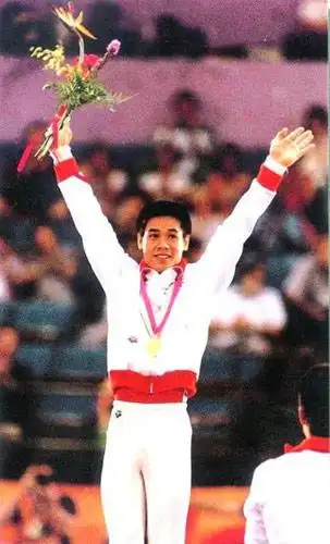 申请专才计划移居香港 李宁已是"香港人" (5)