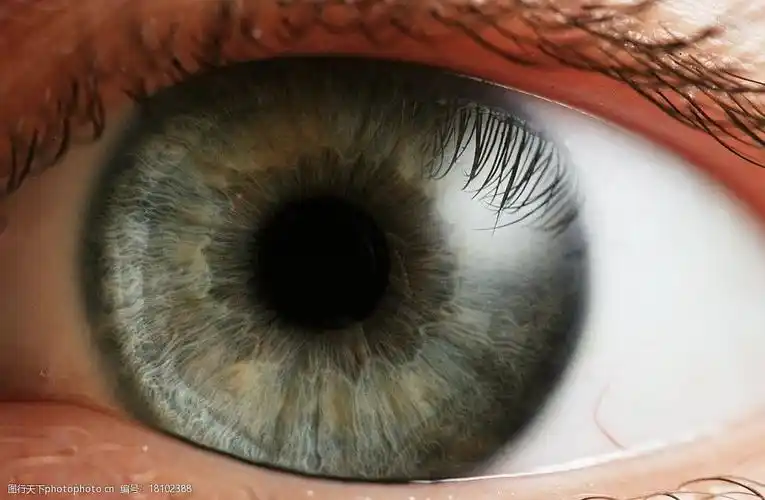 眼睛瞳孔eye图片