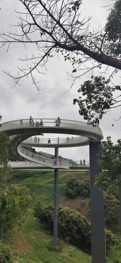 深圳网红-悬桥/浮桥/探桥