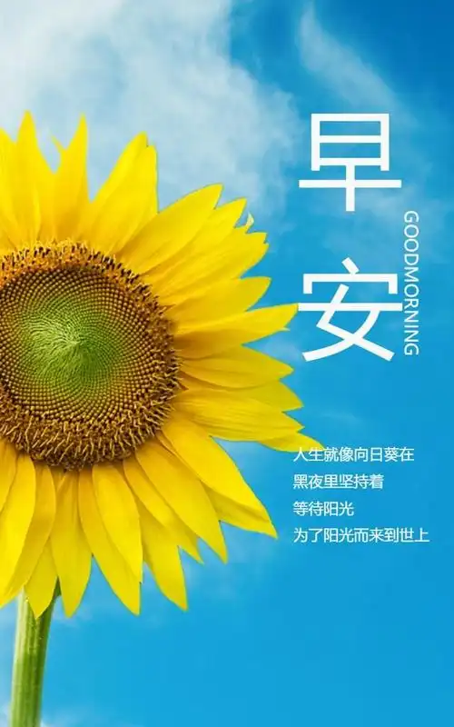 精辟深刻的早安励志句子早安心语正能量图片带字