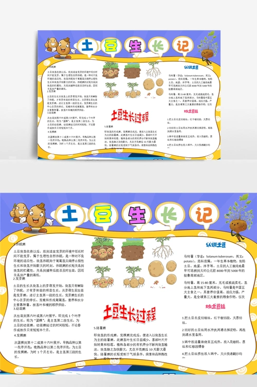 卡通简约土豆生长记小报手抄报模板
