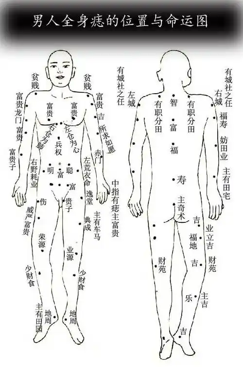 痣的位置与命运痣的位置与命运图