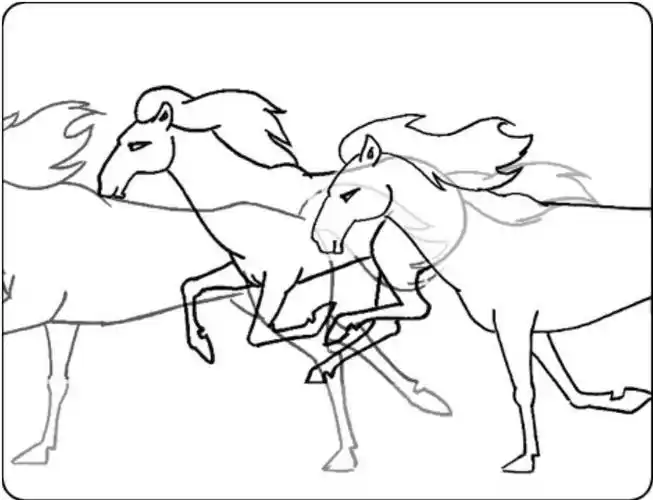 13 马的奔跑画马四脚伸展幅度最大时的那张动作时,身躯可以略微拉长一