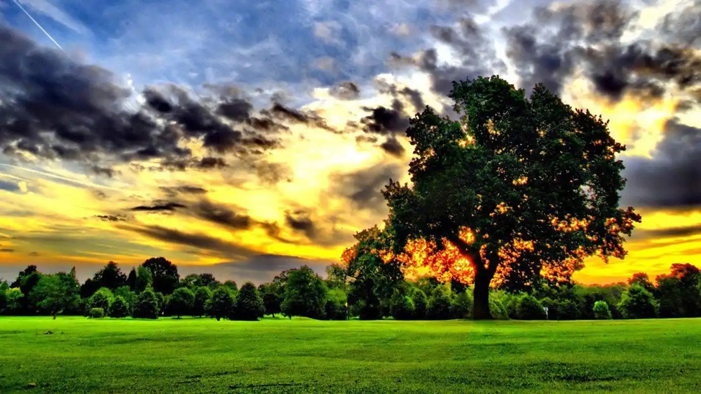 绿色护眼自然风光美景桌面壁纸