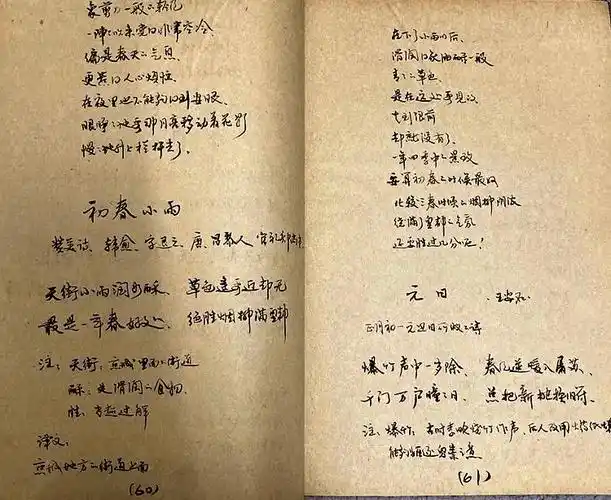 散文│有梦时代诗意盎然