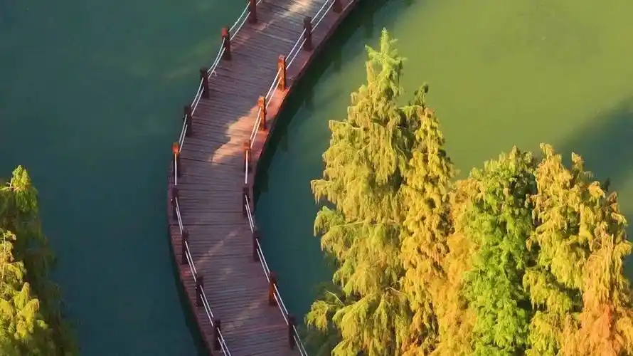 一风景,令人身心放松~黄杰俊摄绿岛湖湿地公园是佛山十大最美公园之一