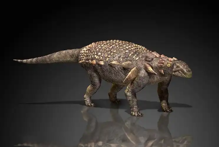 恐龙分类,恐龙种类,恐龙图片大全