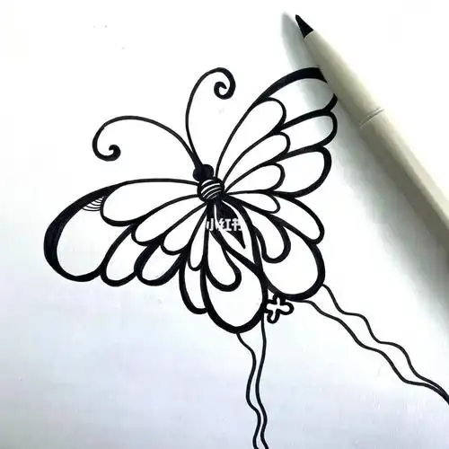 蝴蝶黑白线描练习38