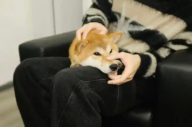 张真源奔跑吧##张真源 高光缔造者