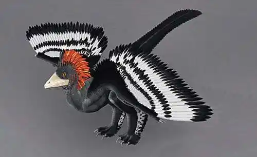 侏罗纪时代恐龙赫氏近鸟龙活像一只鸟(互联网)